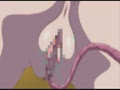 淫妖蟲 悦11