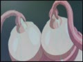 淫妖蟲 悦2 怪楽変化退魔録13