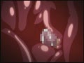 淫妖蟲 悦2 怪楽変化退魔録23