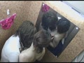 下着試着室で女性店員レズ痴漢10