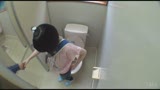 レジャー宿泊施設公衆トイレ押し込み猥褻悪戯映像13