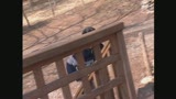 舐めて、許して　宮澤りおん24