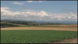 熟年旅交 〜北海道・美瑛篇〜　野口京子 1