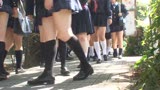 「某お嬢様大学付属の中高一貫女子校スクールバスには 勃起チ○ポを見たことの無いウブな女学生だらけ!  ヤりたい放題の状況で貴方なら何発ヌケますか?」VOL.10