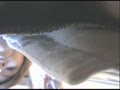 パンチラ盗撮電車18