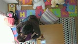 近所の豊満中年おばさん　Hカップ　あおい14