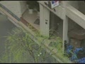 Legend 白木麻弥18