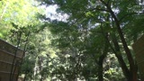 そうだ、他人妻と一緒に旅に出よう—。VOL.036