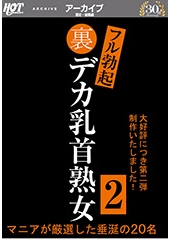 裏フル勃起デカ乳首熟女2 マニアが厳選した垂涎の20名