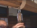 悦虐の折檻調教 幼妻 小坂めぐる16