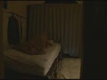今、あなたの妻が抱かれてます。24歳〜人妻あみ19