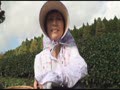 全国熟女捜索隊　田舎の茶畑でお茶摘みするお母さん　愛野主税56歳1