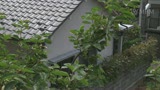 娘夫婦の夜の営みを見てオナニーに耽る義母！若い勃起男根に欲求不満を抑えられない背徳SEX10