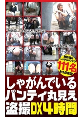 しゃがんでいるパンティ丸見え盗撮DX111人4時間