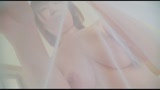恋の聖域+（プラス）　藤咲花連36