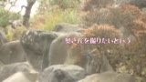 中出し人妻不倫旅行16 　阿川蘭28