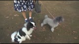 素人トリッキーナンパ塾 レンタルワンコを借りてきて愛犬家を装い、犬の散歩中の女を狙って口説くのが一番効率良いということが判明しました！！0