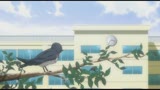 オトメドリ 上巻 純潔の輪舞曲8