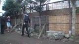 向井恋ＢＥＳＴ10