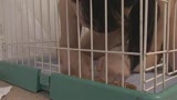 溢れる欲望　友人の母を独り占めに　後半23