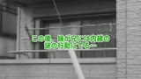 リアル近●相姦（30）〜兄が妹を！妹が兄を！24