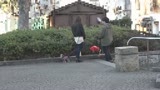 よく犬の散歩で会うスケベな体のスキニージーンズ奥さんとハメたい（2）8