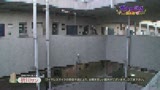 ガチ口説き・熟女編Ⅲ27