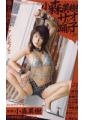 サオと踊り子　小森美樹