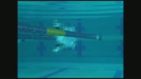 現役水泳選手がＡＶデビュー！中西涼子奇跡の水泳体型そして超軟体スイマーがカメラの前で初アクメ！5