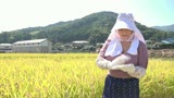 セックスと米作りが大好きな田舎のおばちゃんスペシャル30