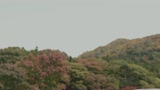 母と息子二人きりの絶頂ＳＥＸ秘湯旅　翔田千里・平清香20
