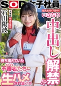 社員旅行の下見中にいきなり中出し解禁！？待ち構えていた不審者(だんゆう)たちに生ハメされまくり！人事部 中途2年目 石川陽波