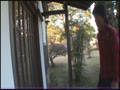 たびじ 高校教師 北条麻妃29