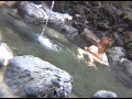 流出映像 露天風呂女湯盗撮10