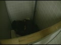 投稿 秘蔵カップル投稿動画 ネットに氾濫する素人の秘め事3