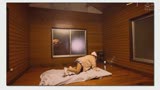 膣汁を精液に置換!パンチラで男性視聴者を誘惑するソロキャン女子インフルエンサー就寝中にテントにこっそり入って添い寝しても最後は中出しまでヤらせてくれる14