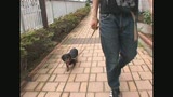 子犬を散歩してたら可愛い娘がナデに来て胸チラ・パンチラ見放題！部屋に誘うと案外簡単にSEXできちゃう不思議！2