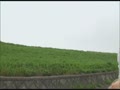 平成未亡人下宿 痴漢みだら指0