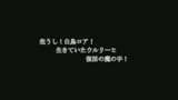 バードファイブ　スペリオール　澄川ロア2