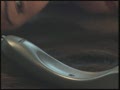 緊縛裏事件簿 マルチの女 水原美々19