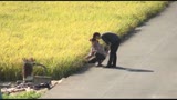 田舎の熟女は相当欲求が溜まっているらしく　あぜ道で畑仕事をするおばちゃんに声をかけると　かなりの高確率でセックスまで持ち込めるという噂２20